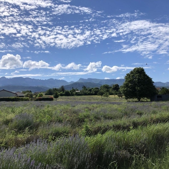  DROME ARDECHE IMMOBILIER : Terrain | MARCHES (26300) | 0 m2 | 83 000 € 