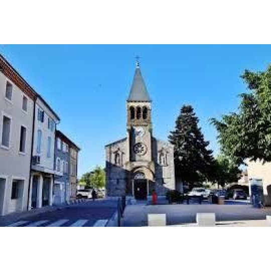  DROME ARDECHE IMMOBILIER : Terrain | MALISSARD (26120) | 0 m2 | 99 000 € 