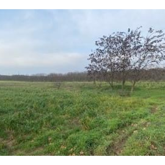  DROME ARDECHE IMMOBILIER : Terrain | VALENCE (26000) | 0 m2 | 112 000 € 