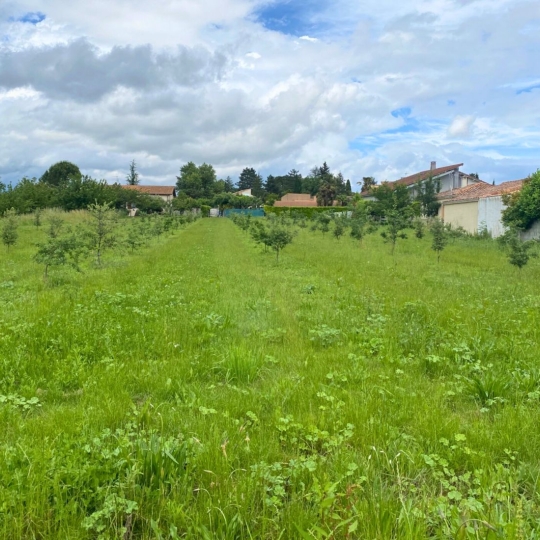 DROME ARDECHE IMMOBILIER : Terrain | CROZES-HERMITAGE (26600) | m2 | 93 000 € 