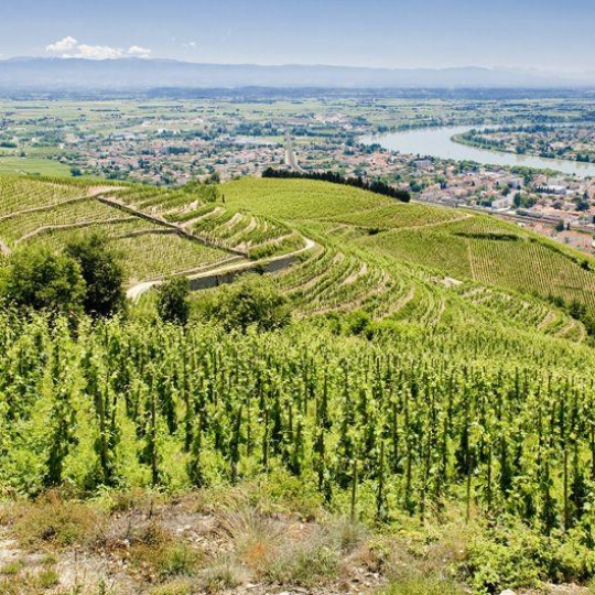  DROME ARDECHE IMMOBILIER : Terrain | CROZES-HERMITAGE (26600) | 0 m2 | 93 000 € 