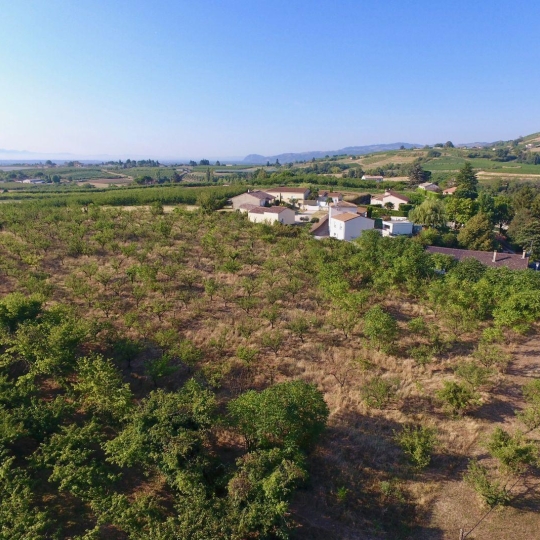  DROME ARDECHE IMMOBILIER : Terrain | CROZES-HERMITAGE (26600) | 0 m2 | 116 000 € 