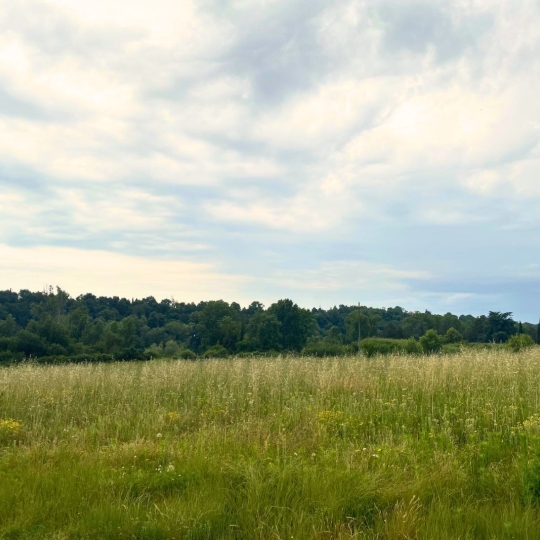  DROME ARDECHE IMMOBILIER : Terrain | ROMANS-SUR-ISERE (26100) | 0 m2 | 95 000 € 