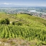  DROME ARDECHE IMMOBILIER : Terrain | CROZES-HERMITAGE (26600) | 0 m2 | 93 000 € 