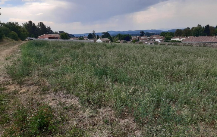 DROME ARDECHE IMMOBILIER : Ground | SAINT-UZE (26240) | 0 m2 | 66 000 € 