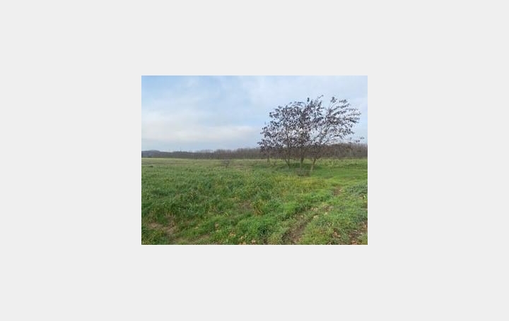  DROME ARDECHE IMMOBILIER Terrain | VALENCE (26000) | 0 m2 | 112 000 € 