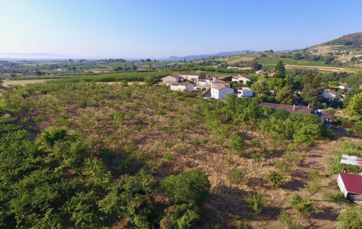  DROME ARDECHE IMMOBILIER Terrain | CROZES-HERMITAGE (26600) | 0 m2 | 116 000 € 